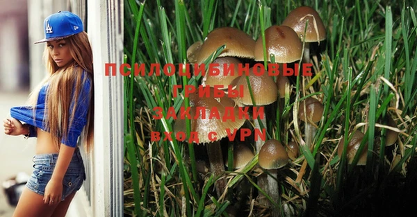 хмурый Абаза