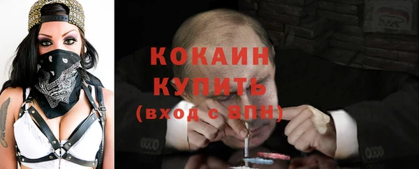 тгк Алзамай