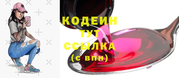 хмурый Абаза