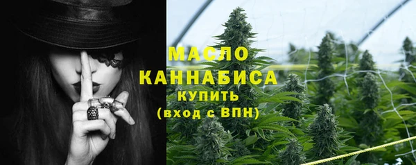 хмурый Абаза
