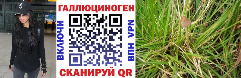 Псилоцибиновые грибы прущие грибы Судогда