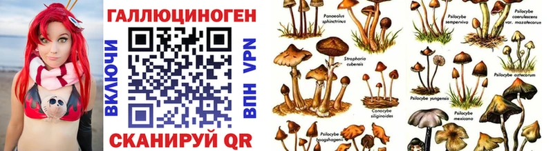 Псилоцибиновые грибы прущие грибы  Судогда 